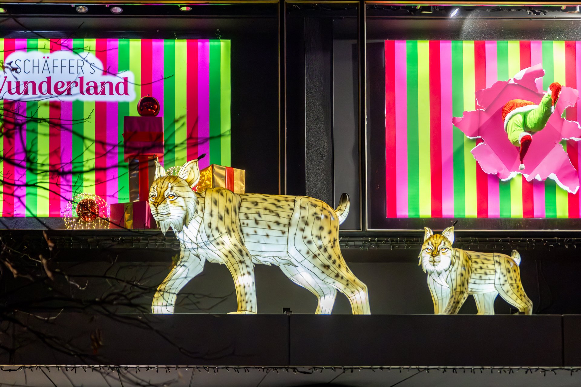 Zoolights Moonlight Shopping 