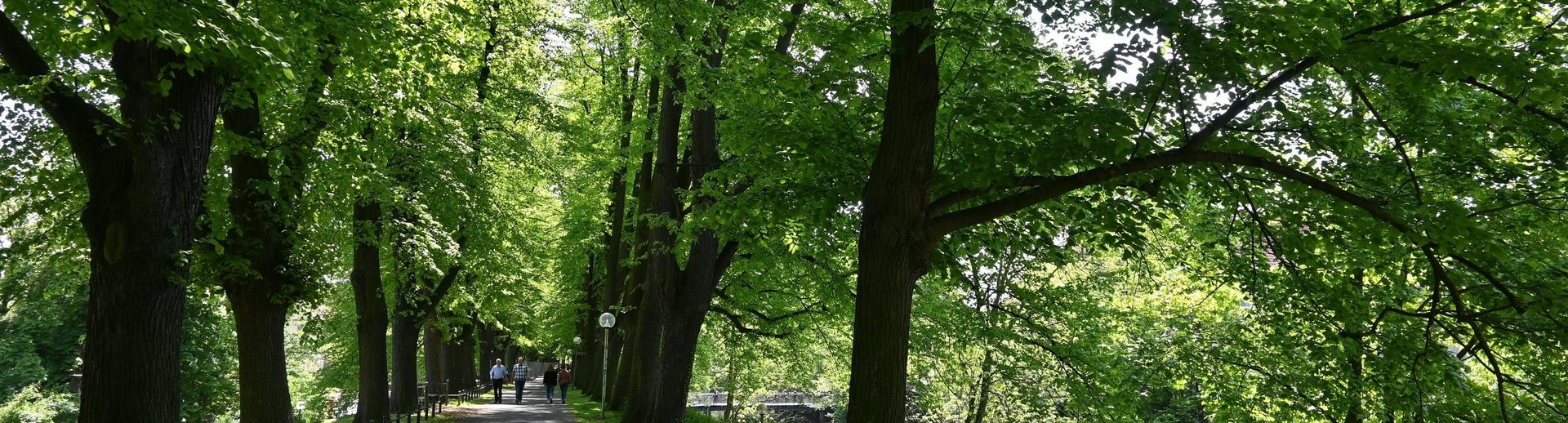 Herrenteichswall