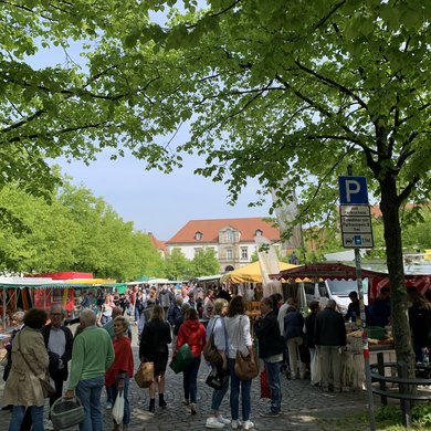 Wochenmarkt am Dom