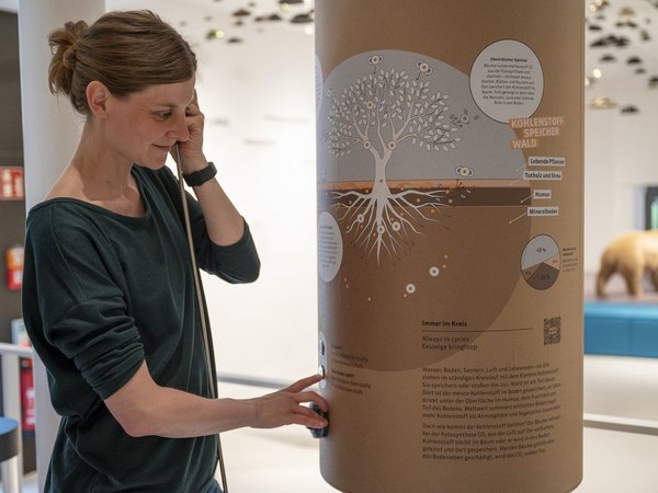 „Wood-Wide-Web“: Das Pilztelefon symbolisiert die Kommunikation von Bäumen über ein unterirdisches Pilz-Netzwerk. 