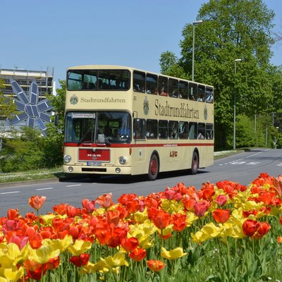 Stadtrundfahrten im Traditionsbus