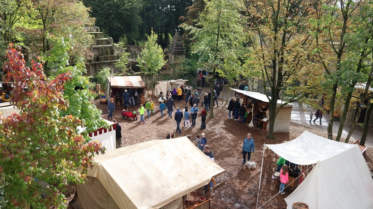 Bei den „Niedersächsischen Zootagen“ am 14. und 15. Oktober können Jahreskartenbesitzer profitieren. Im Zoo Osnabrück wartet zusätzlich das „Mittelalter Spectaculum“ – ein Mittelaltermarkt mit vielen Aktionsständen.