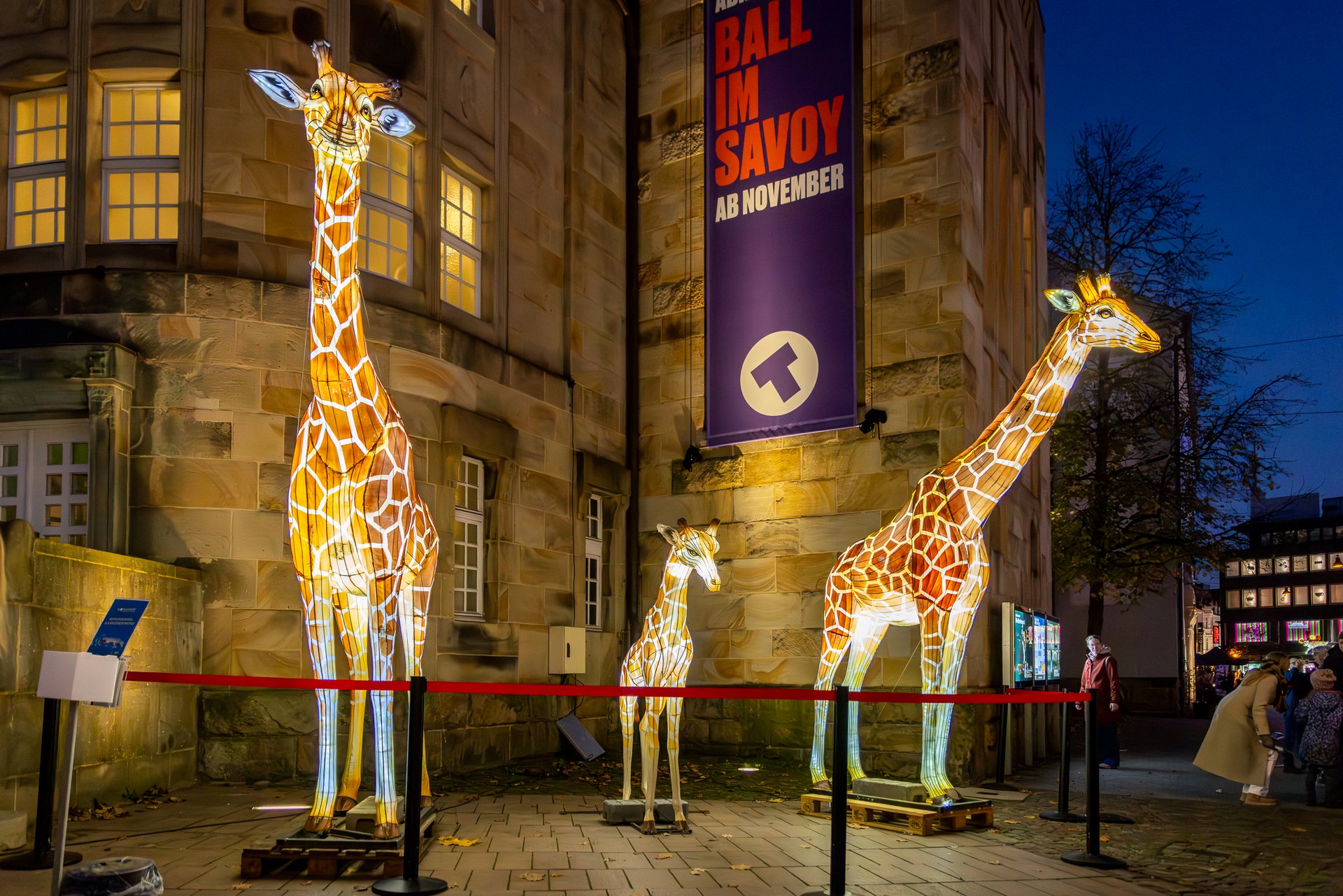 Zoolights Moonlight Shopping 2024